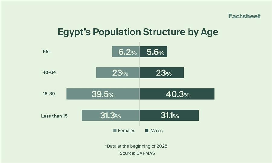 Egypt’s Demographic Profile: Key Population Trends and Indicators